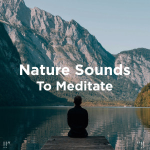收听Yoga的Relaxing Water Sounds歌词歌曲