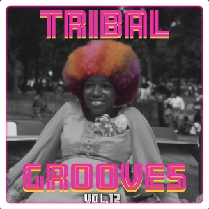 Tribal Grooves Vol. 12