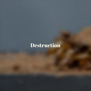 Album Destruction oleh Herm Brevi