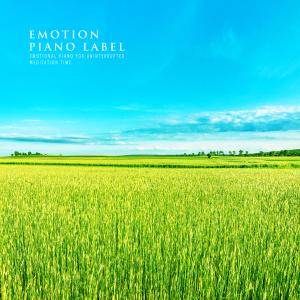อัลบัม Emotional Piano For Uninterrupted Meditation Time ศิลปิน Various Artists
