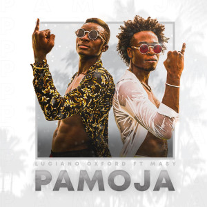 Listen to Pamoja song with lyrics from Luciano Oxford