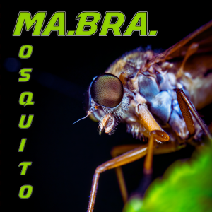 Album Mosquito from Ma.Bra.