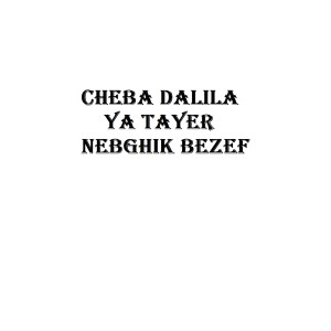 收听Cheba Dalila的Alache Ghir Ana Alache歌词歌曲
