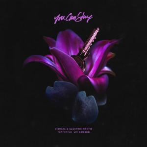 ดาวน์โหลดและฟังเพลง You Can Stay พร้อมเนื้อเพลงจาก Electric Mantis