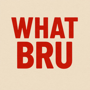 DJ D的專輯What Bru