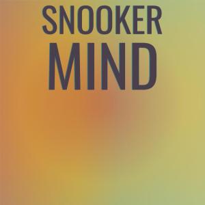 Various Artists的專輯Snooker Mind