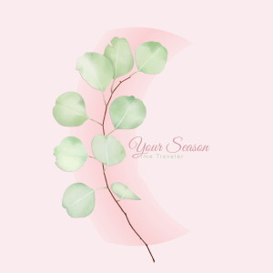 Album Your Season oleh 시간여행자