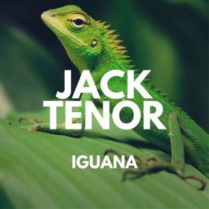 Album Iguana from 