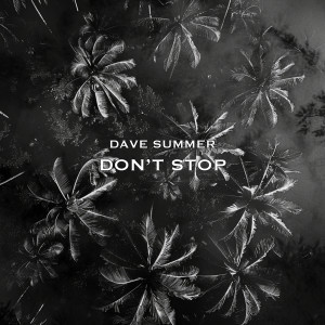Listen to Don't Stop song with lyrics from Dave Summer