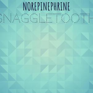 Norepinephrine Snaggletooth dari Various