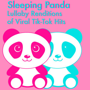 ดาวน์โหลดและฟังเพลง Home พร้อมเนื้อเพลงจาก Sleeping Panda