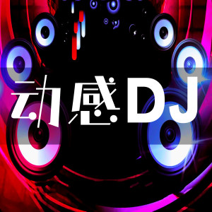 Album 动感DJ oleh DJ多多