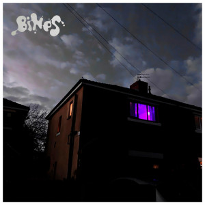 Listen to Endless song with lyrics from BINES