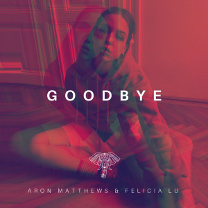 Dengarkan lagu Goodbye nyanyian Aron Matthews dengan lirik