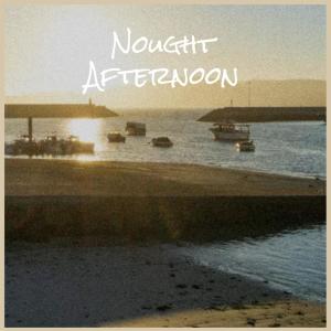 Various的专辑Nought Afternoon