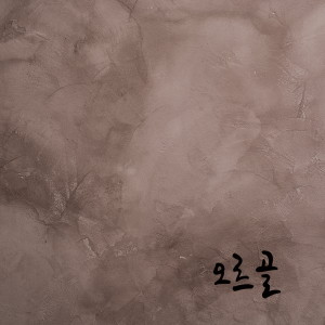 Listen to 오르골 song with lyrics from NaMoo