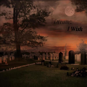 Dreamz的专辑I Wish (Explicit)