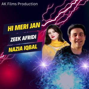 Listen to Hi Meri Jan song with lyrics from Zeek Afridi