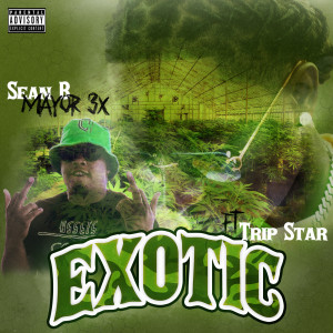 Sean B MAYOR3X的專輯Exotic (Explicit)