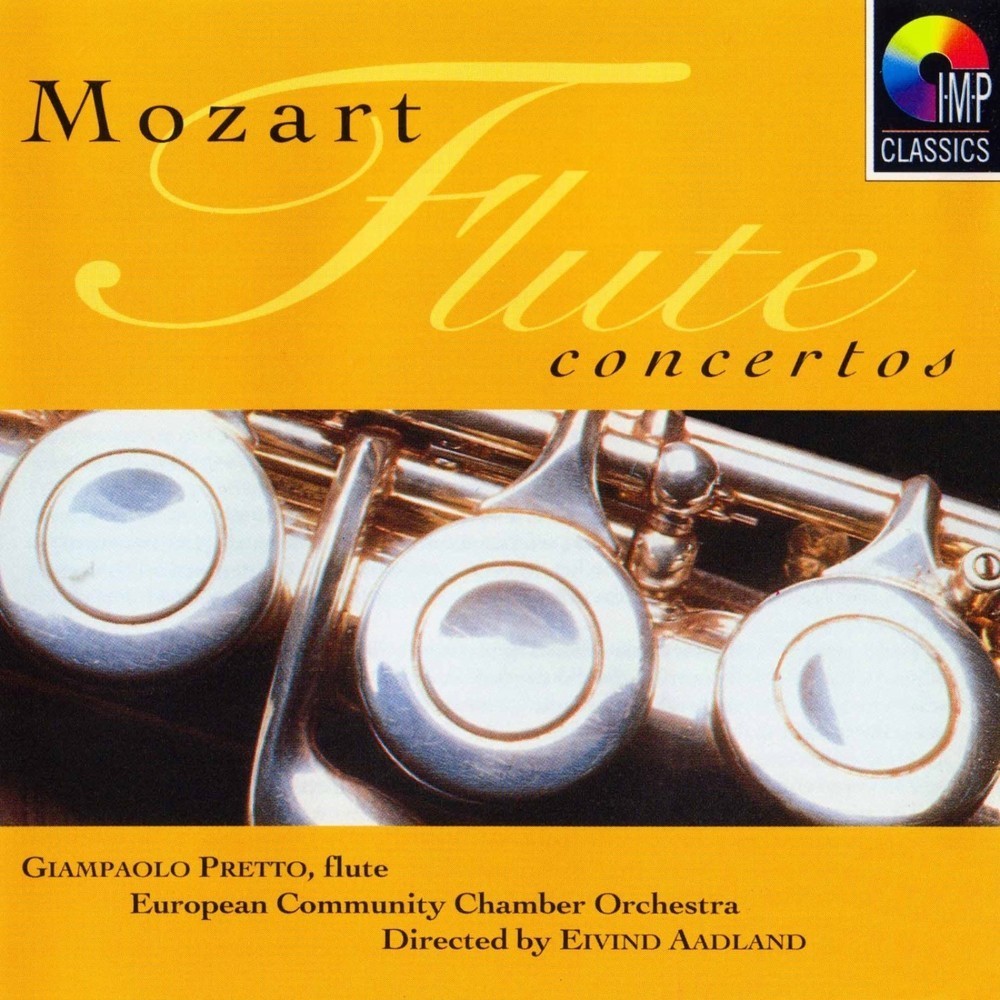 Andante For Flute & Orchestra In C, K.315