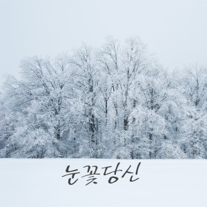 대니황 (Danny Hwang)的專輯Snow Flower
