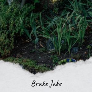 Various Artist的專輯Brake Jake
