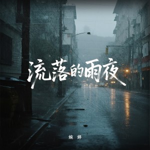 Album 流落的雨夜 oleh 婉婷