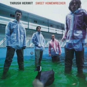 ดาวน์โหลดและฟังเพลง Puerto Rico พร้อมเนื้อเพลงจาก Thrush Hermit