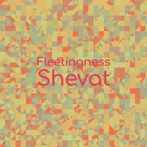 收听Hlin Dlip的Fleetingness Shevat歌词歌曲