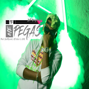 Zent "Gangsta Boy".的專輯Te Me Pegas