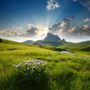 default playlist img