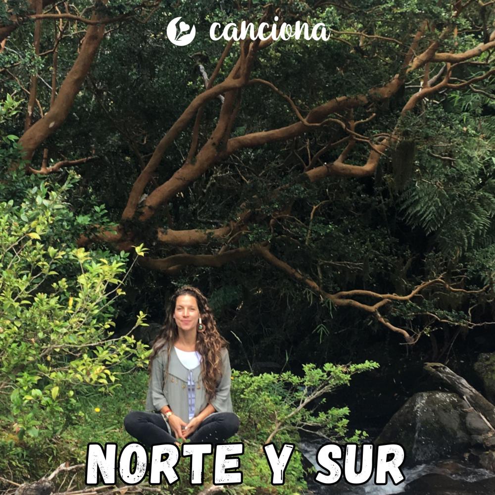 Norte y sur