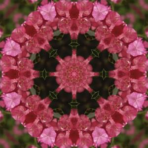 收聽Sonic Yogi的Tibetan Singing Bowls - G# Throat Chakra - Relaxation and Meditation歌詞歌曲