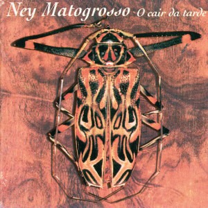 ดาวน์โหลดและฟังเพลง Caico (Cantigas) - Tema Folclórico พร้อมเนื้อเพลงจาก Ney Matogrosso