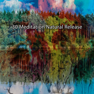 อัลบัม 30 Meditation Natural Release ศิลปิน Sound Library XL