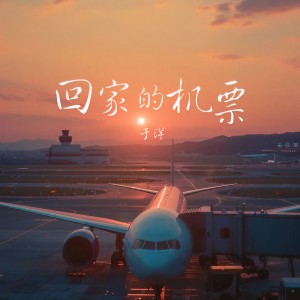 于洋的专辑回家的机票