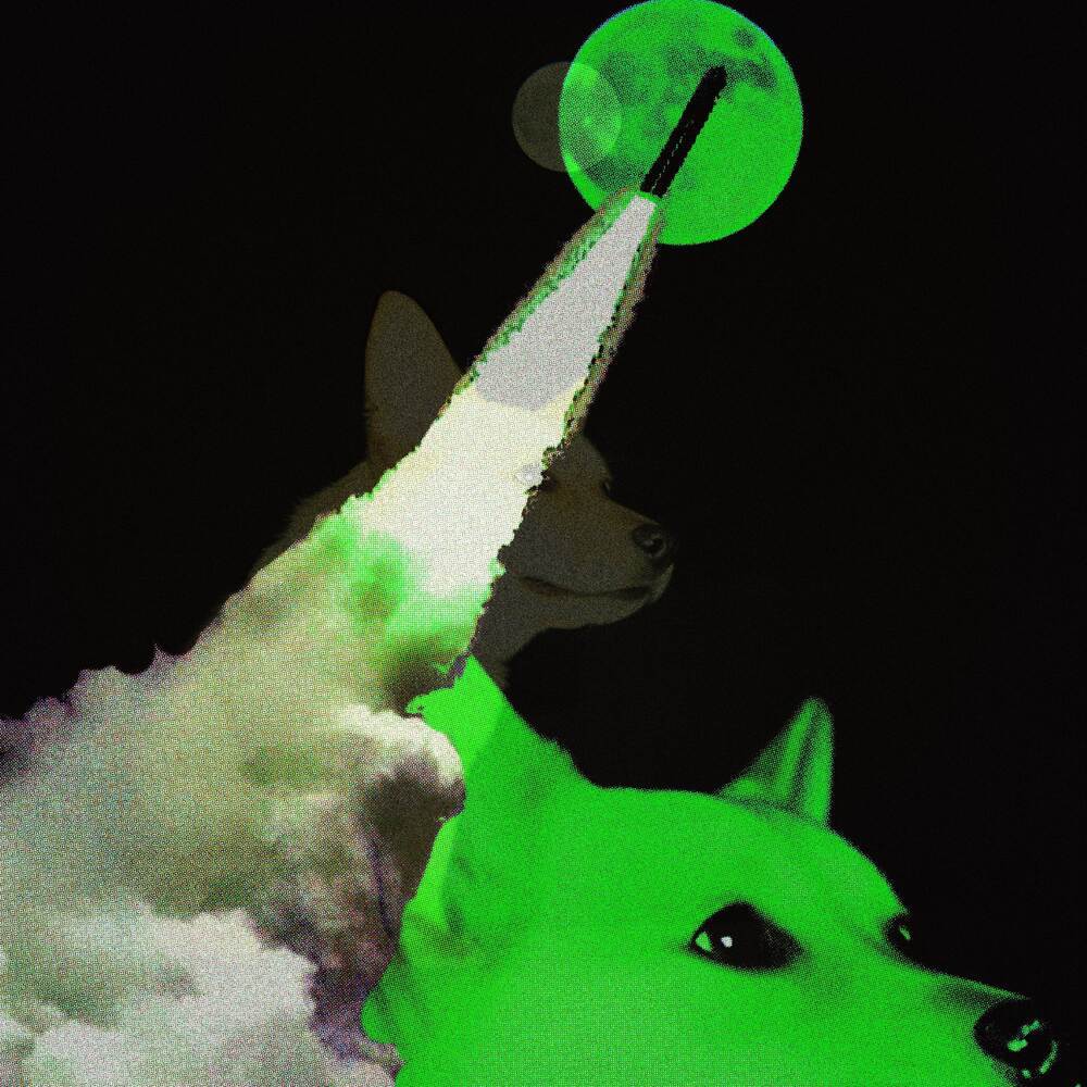 DOGE TO THE MOON