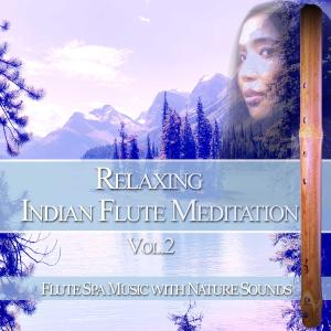 Album Relaxing Indian Flute Meditation, Vol. 2: Flute Spa Music with Nature Sounds from Flute Music Meditation DEA Channel