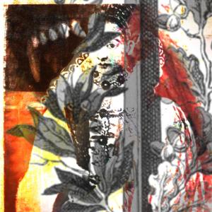 的專輯FLOWERS FOR BATHORY (Explicit)