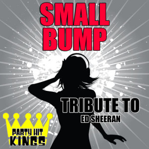 ดาวน์โหลดและฟังเพลง Small Bump (Tribute to Ed Sheeran) พร้อมเนื้อเพลงจาก Party Hit Kings