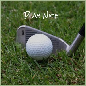 Album Play Nice from Various