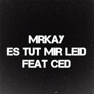 Listen to Es Tut Mir Leid(feat. Ced) song with lyrics from MrKay