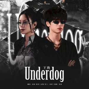 Listen to Underdog (下狗) (cover: Vinida万妮达|严浩翔) (完整版) song with lyrics from 沐妍yi_