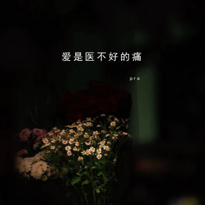 Album 爱是医不好的痛 from pro