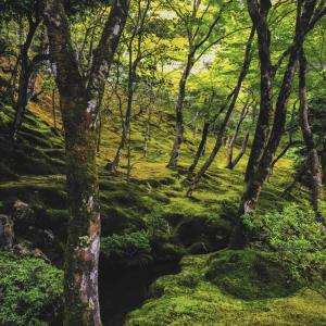 Listen to Goosebumps song with lyrics from Yoga Music