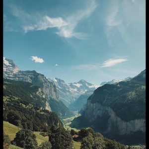 Dengarkan My Forest Tree lagu dari Relaxing Music Therapy dengan lirik