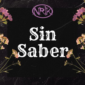 Listen to Sin Saber song with lyrics from NriK