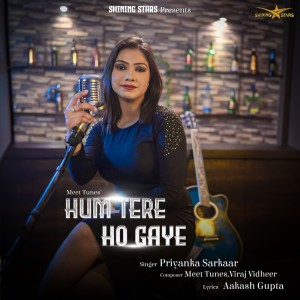 Meet Tunes的專輯Hum Tere Ho Gaye