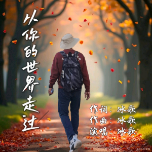 Album 从你的世界走过 from 冰歌