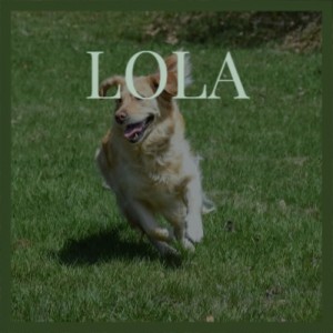 Various Artists的專輯Lola